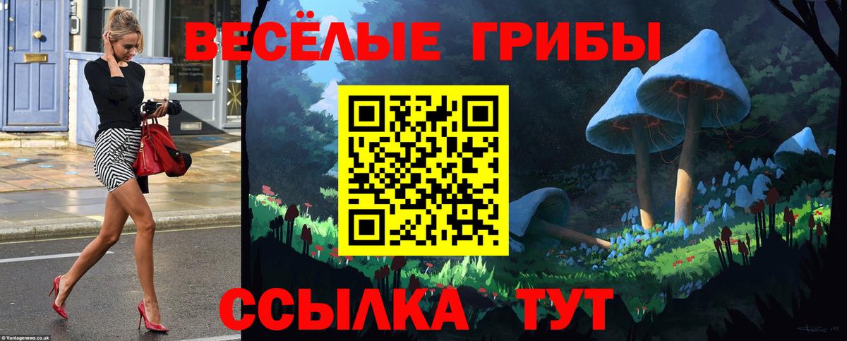 Заводоуковск  Галлюциногенные грибы Cubensis  Вход с VPN 